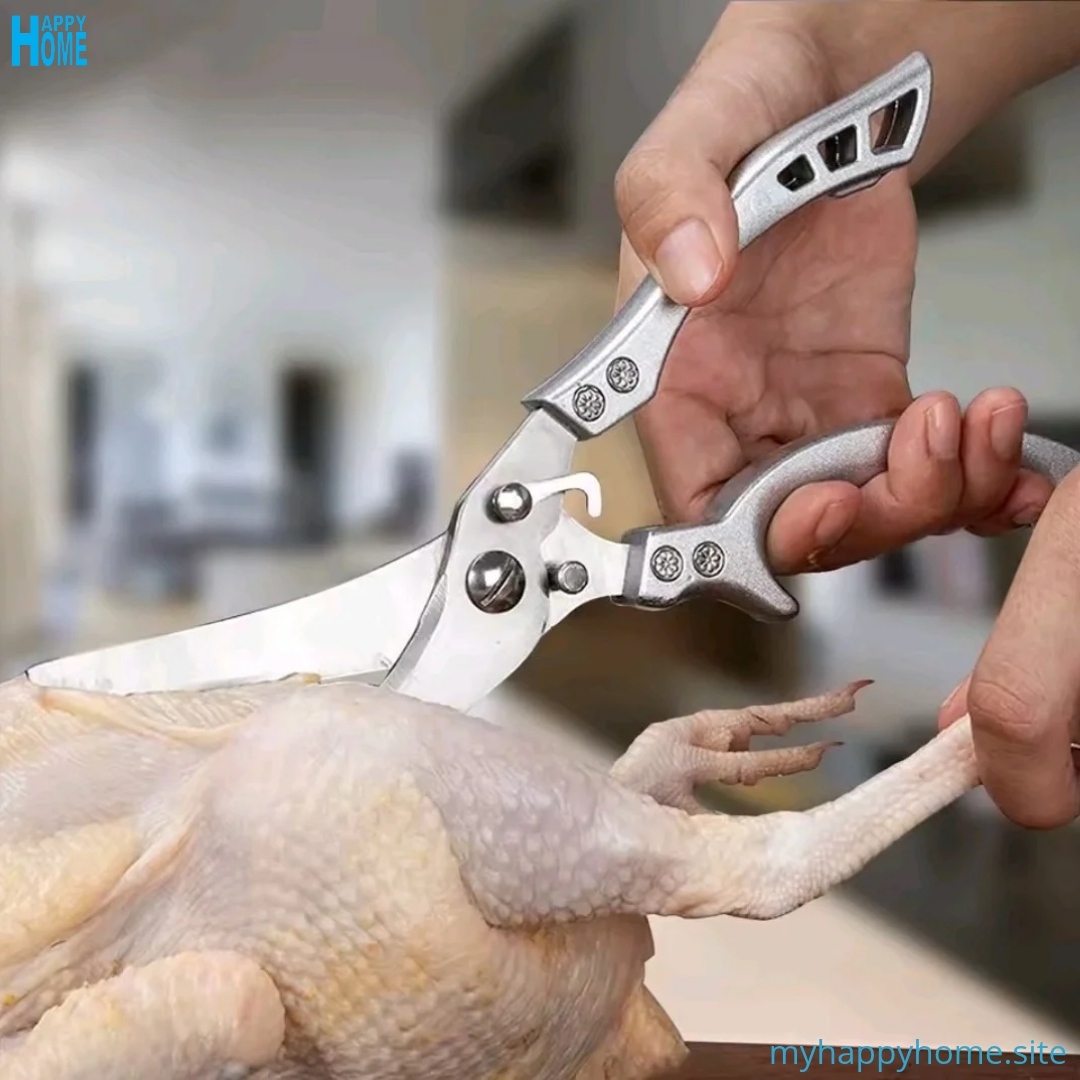 Ciseaux de cuisine multifonction